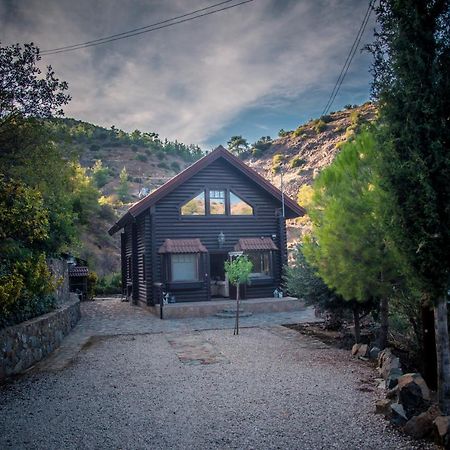 *2 Bdr Log House /Mountains/Queen Bed/Fireplace Gourri Exteriér fotografie